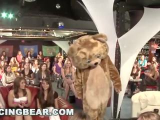 Taniec niedźwiedź - dzikie impreza dziewczyny ssać od duży peter męski ściągacze!